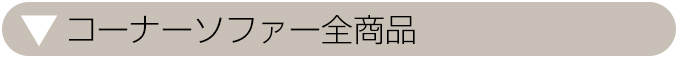 ¥³¡¼¥Ê¡¼¥½¥Õ¥¡¡¼Á´¾¦ÉÊ