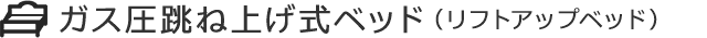 ������ķ�;夲�������̼�Ǽ�٥åɡʥ�եȥ��åץ٥åɡ�